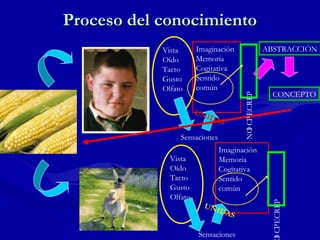 Proceso del conocimiento
            Vista      Imaginación                  ABSTRACCIÓN
            Oído       Memoria
            Tacto      Cogitativa
            Gusto      Sentido
            Olfato     común
                                                      CONCEPTO




                                      NO CP ECREP
                       UN
                          IDA
                             S




                                       I
                 Sensaciones
                               Imaginación
              Vista            Memoria
              Oído             Cogitativa
              Tacto            Sentido
              Gusto            común
              Olfato




                                                      I CP ECR EP
                         UN
                            ID   AS

                        Sensaciones
 
