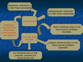 Esperanza: inclinación a
      un bien futuro alcanzable
                                         Desesperación: inclinación
                                        a un bien futuro inalcanzable


                      un bien arduo
  PASIONES
DEL APETITO                                  Temor: tendencia ante un mal
  IRASCIBLE                                    futuro que se considera
Cinco pasiones                                         inevitable
 que suponen
                     o un mal difícil
                        de evitar
                                        Audacia: tendencia ante un mal
                                           futuro que se considera
                                                   superable

           Ira: tendencia ante un mal
             presente, aversión a la
                causa de ese mal.
 