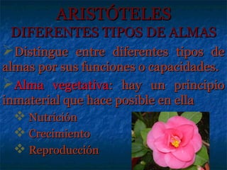 ARISTÓTELES
 DIFERENTES TIPOS DE ALMAS
Distingue entre diferentes tipos de
almas por sus funciones o capacidades.
Alma vegetativa: hay un principio
inmaterial que hace posible en ella
  Nutrición
  Crecimiento
  Reproducción
 