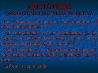 ARISTÓTELES
 OPERACIONES DEL ALMA SENSITIVA
Las  sensaciones otorgan un conocimiento en el
nivel de los sentidos
 El conocimiento es una asimilación de las

formas, se poseen las formas de los seres
naturales, separándolos de su materia.
 Esta posesión no es natural, sino intencional.

No tenemos un árbol metido en la cabeza, sino su
forma.
La forma se aprehende
 
