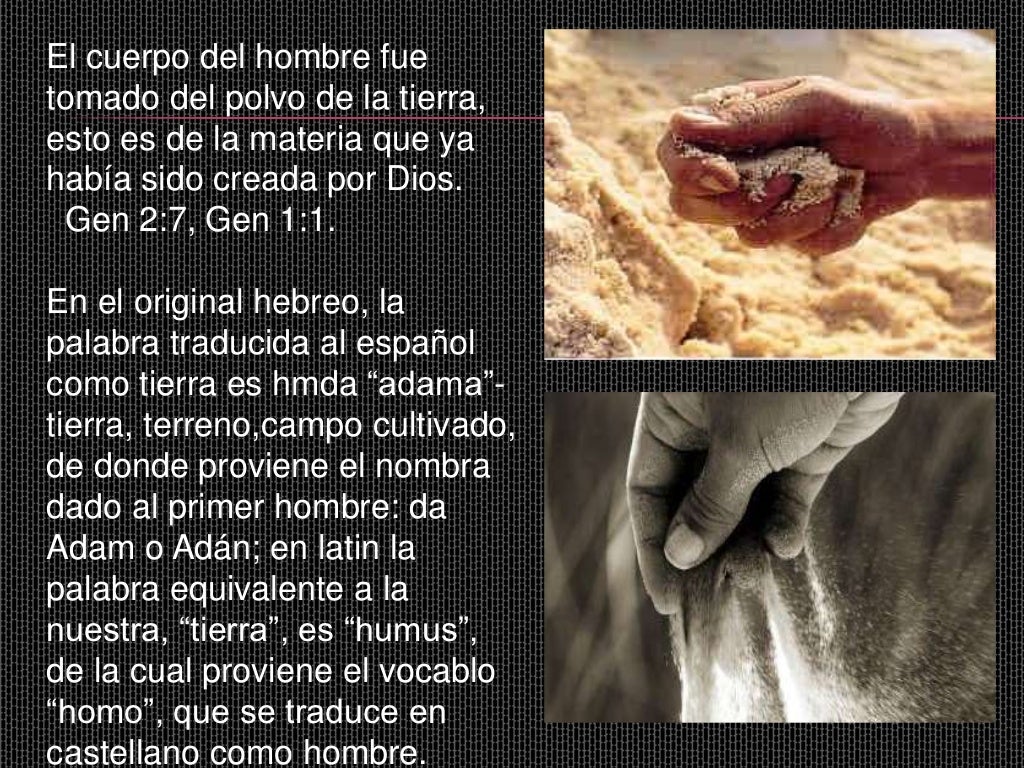 Antropologia biblica