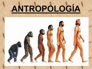 ANTROPOLOGÍA
 