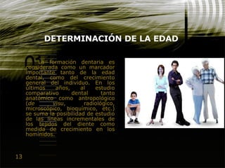 13
DETERMINACIÓN DE LA EDAD
La formación dentaria es
considerada como un marcador
importante tanto de la edad
dental, como del crecimiento
general del individuo. En los
últimos años, al estudio
comparativo dental tanto
anatómico como antropológico
(de visu, radiológico,
microscópico, bioquímico, etc.)
se suma la posibilidad de estudio
de las líneas incrementales de
los tejidos del diente como
medida de crecimiento en los
homínidos.
 