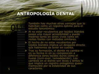 5
ANTROPOLOGÍA DENTAL
También hay muchas otras ventajas que lo
habilitan como un registro óptimo para el
estudio taxonómico:
> Al no estar recubiertos por tejidos blandos
posee una mayor accesibilidad y puede
medirse tanto en seres vivos como en
restos fósiles con métodos similares.
> El hecho de no estar recubiertos por
tejidos blandos implica un desgaste directo
que habremos de tener en cuenta.
> Tras su formación, el diente no cambia ni
en su forma ni en su composición a
diferencia otros tejidos duros como el
hueso (turn-over, remodelación). Los
cambios en el diente son leves y lentos lo
que implica un registro ontogénico quasi-
inamovible por la estabilidad de sus
caracteres.
 