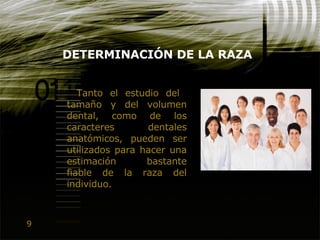 9
DETERMINACIÓN DE LA RAZA
Tanto el estudio del
tamaño y del volumen
dental, como de los
caracteres dentales
anatómicos, pueden ser
utilizados para hacer una
estimación bastante
fiable de la raza del
individuo.
 