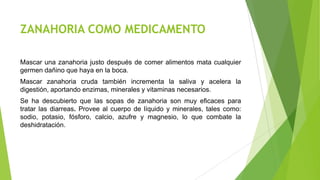 ZANAHORIA COMO MEDICAMENTO
Mascar una zanahoria justo después de comer alimentos mata cualquier
germen dañino que haya en la boca.

Mascar zanahoria cruda también incrementa la saliva y acelera la
digestión, aportando enzimas, minerales y vitaminas necesarios.
Se ha descubierto que las sopas de zanahoria son muy eficaces para
tratar las diarreas. Provee al cuerpo de líquido y minerales, tales como:
sodio, potasio, fósforo, calcio, azufre y magnesio, lo que combate la
deshidratación.

 