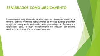 ESPARRAGOS COMO MEDICAMENTO
Es un alimento muy adecuado para las personas que sufran retención de
líquidos, deberán comerlos habitualmente los obesos quienes pretendan
rebajar de peso y están realizando dietas para adelgazar. También a la
calcificación ósea, el buen funcionamiento del corazón, del sistema
nervioso o la construcción de la masa muscular.

 
