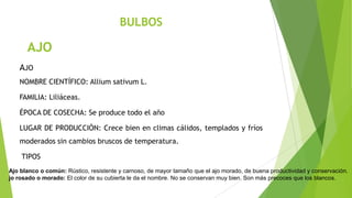 BULBOS

AJO
AJO
NOMBRE CIENTÍFICO: Allium sativum L.

FAMILIA: Liliáceas.
ÉPOCA DE COSECHA: Se produce todo el año
LUGAR DE PRODUCCIÓN: Crece bien en climas cálidos, templados y fríos
moderados sin cambios bruscos de temperatura.
TIPOS
Ajo blanco o común: Rústico, resistente y carnoso, de mayor tamaño que el ajo morado, de buena productividad y conservación.
jo rosado o morado: El color de su cubierta le da el nombre. No se conservan muy bien. Son más precoces que los blancos.

 