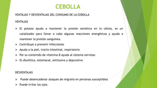 CEBOLLA
VENTAJAS Y DESVENTAJAS DEL CONSUMO DE LA CEBOLLA
VENTAJAS
 El potasio ayuda a mantener la presión osmótica en la célula, es un
catalizador para llevar a cabo algunas reacciones energéticas y ayuda a
mantener la presión sanguínea.
 Contribuye a prevenir infecciones
 Ayuda a la piel, tracto intestinal, respiratorio
 Por su contenido de vitamina B ayuda al sistema nervioso
 Es diurética, estomacal, antitusiva y depurativa

DESVENTAJAS
 Puede desencadenar ataques de migraña en personas susceptibles
 Puede irritar los ojos.

 