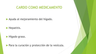 CARDO COMO MEDICAMENTO


Ayuda al mejoramiento del hígado.



Hepatitis.



Hígado graso.



Para la curación y protección de la vesícula.

 