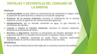 VENTAJAS Y DESVENTAJA DEL CONSUMO DE
LA ENDIVIA
VENTAJAS
 Cardiosaludable: ya que reduce la concentración de colesterol en sangre, evita
la aparición de aterosclerosis y mejora la circulación sanguínea.
 Protector de la mucosa intestinal: previene la inflamación de la mucosa
intestinal y evita la aparición de ciertas anomalías gástricas.
 Adelgazamiento: por su elevado contenido en agua, lo que favorece la
eliminación de líquidos.
 Laxante y mejora el tránsito intestinal: favorece el tránsito intestinal,
evitando la acumulación de heces.
 Diurético y depurativo: favorece la eliminación de líquidos sobrantes en el
organismo debido a su elevada concentración en potasio y baja en sodio.
 Embarazo e infancia: contenido en ácido fólico, vitamina totalmente
imprescindible el correcto desarrollo del embrión y de los niños.
DESVENTAJA
 No se conocen efectos tóxicos derivados de un consumo excesivo de endibias.

 