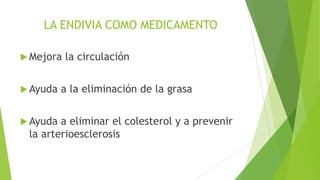 LA ENDIVIA COMO MEDICAMENTO
 Mejora

 Ayuda
 Ayuda

la circulación

a la eliminación de la grasa

a eliminar el colesterol y a prevenir
la arterioesclerosis

 