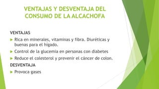 VENTAJAS Y DESVENTAJA DEL
CONSUMO DE LA ALCACHOFA
VENTAJAS


Rica en minerales, vitaminas y fibra. Diuréticas y
buenas para el hígado.



Control de la glucemia en personas con diabetes



Reduce el colesterol y prevenir el cáncer de colon.

DESVENTAJA


Provoca gases

 