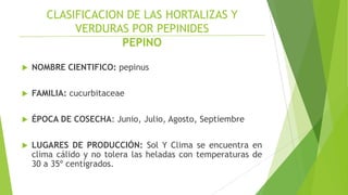 CLASIFICACION DE LAS HORTALIZAS Y
VERDURAS POR PEPINIDES
PEPINO


NOMBRE CIENTIFICO: pepinus



FAMILIA: cucurbitaceae



ÉPOCA DE COSECHA: Junio, Julio, Agosto, Septiembre



LUGARES DE PRODUCCIÓN: Sol Y Clima se encuentra en
clima cálido y no tolera las heladas con temperaturas de
30 a 35º centígrados.

 