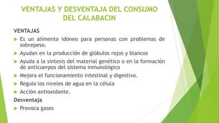 VENTAJAS Y DESVENTAJA DEL CONSUMO
DEL CALABACIN
VENTAJAS
 Es un alimento idóneo para personas con problemas de
sobrepeso.
 Ayudan en la producción de glóbulos rojos y blancos
 Ayuda a la síntesis del material genético o en la formación
de anticuerpos del sistema inmunológico
 Mejora el funcionamiento intestinal y digestivo.
 Regula los niveles de agua en la célula
 Acción antioxidante.
Desventaja


Provoca gases

 