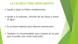 LA CALABZA COMO MEDICAMENTO


Ayuda a bajar la fiebre notablemente.



Ayuda a la próstata, infusión de las hojas y tomar
el agua.



Es un buen sedante para dolores estomacales.



También es recomendable para lozanía de la piel
que se puede usar como mascarilla.

 