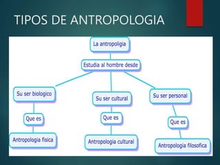 TIPOS DE ANTROPOLOGIA
 