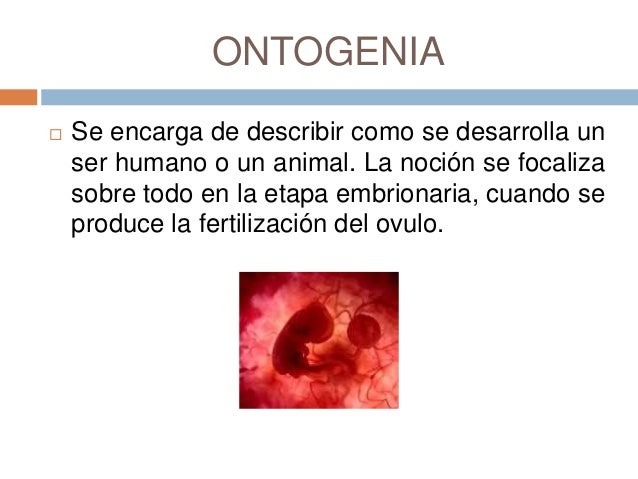 Resultado de imagen para antropologia fisica ONTOGENIA}