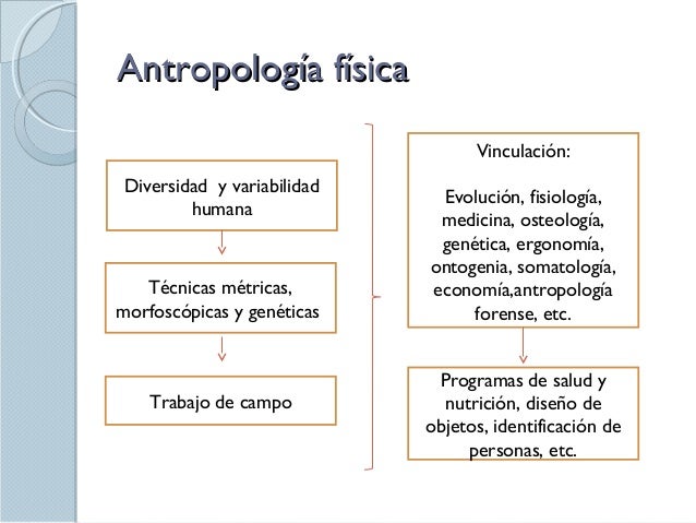 Antropologia fisica 2014
