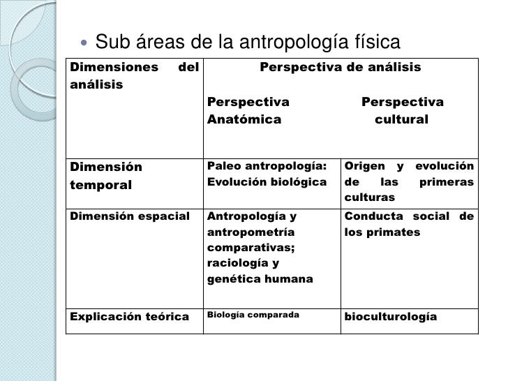 Diferencia Entre Antropologia Cultural Y Fisica www.slideshare.net