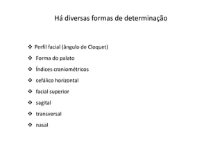 Há diversas formas de determinação
Perfil facial (ângulo de Cloquet)
Forma do palato
Índices craniométricos
cefálico horizontal
facial superior
sagital
transversal
nasal
 