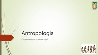 Antropología
Comportamiento organizacional
 