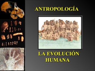 ANTROPOLOGÍA  LA EVOLUCIÓN HUMANA   