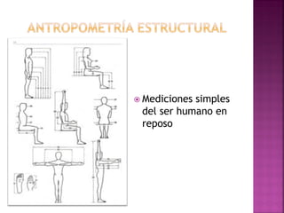 Mediciones simples del ser humano en reposo  