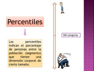Percentiles 
Los percentiles indican el porcentaje de personas entre la población (segmento) que tienen una dimensión corporal de cierto tamaño. 
100 categorías  