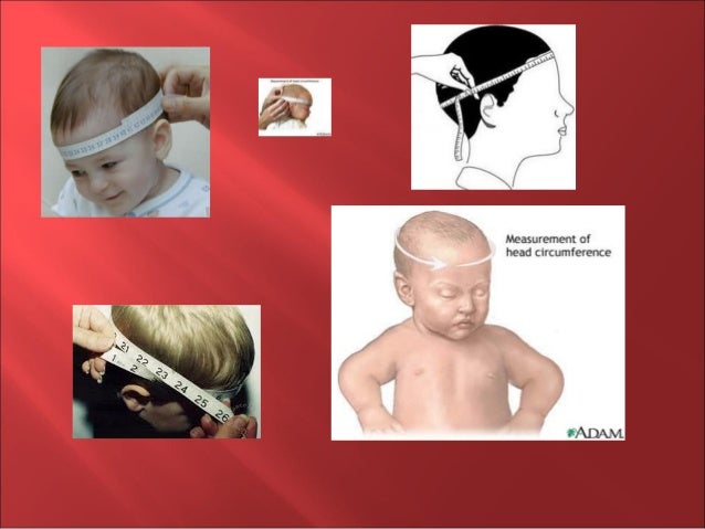 lingkar bayi kepala ukur cara 1 Antropometri lingkar bayi kepala ukur cara 1 Antropometri