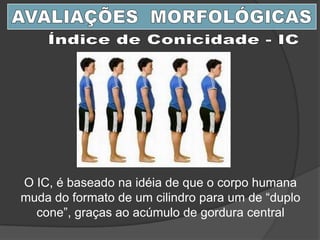 O IC, é baseado na idéia de que o corpo humana
muda do formato de um cilindro para um de “duplo
cone”, graças ao acúmulo de gordura central
 