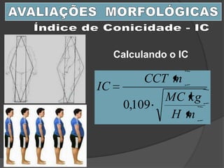 mH
kgMC
mCCT
IC
109,0
Calculando o IC
 