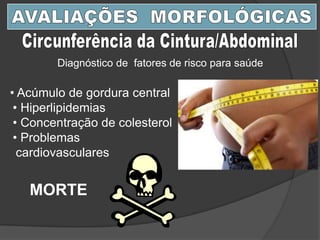 Diagnóstico de fatores de risco para saúde
• Acúmulo de gordura central
• Hiperlipidemias
• Concentração de colesterol
• Problemas
cardiovasculares
MORTE
 