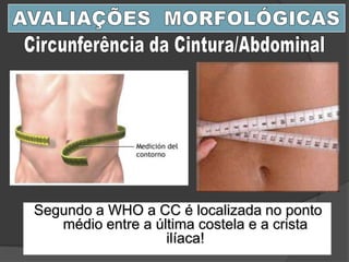 Segundo a WHO a CC é localizada no ponto
médio entre a última costela e a crista
ilíaca!
 