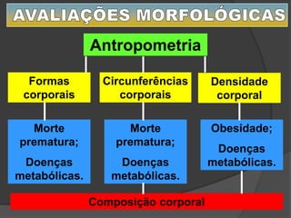 Antropometria
Formas
corporais
Circunferências
corporais
Densidade
corporal
Morte
prematura;
Doenças
metabólicas.
Morte
prematura;
Doenças
metabólicas.
Obesidade;
Doenças
metabólicas.
Composição corporal
 
