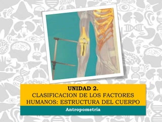 UNIDAD 2.
CLASIFICACION DE LOS FACTORES
HUMANOS: ESTRUCTURA DEL CUERPO
Antropometría
 