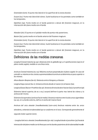 Antropometria | DOCX