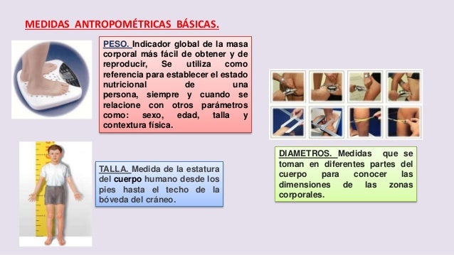 Antropometria