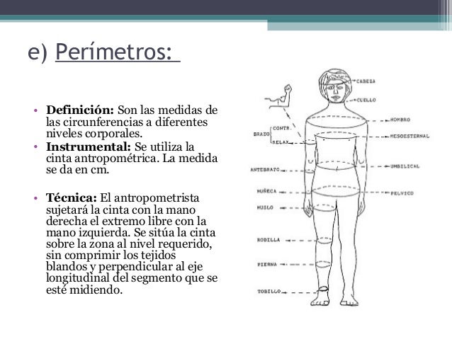 Antropometria