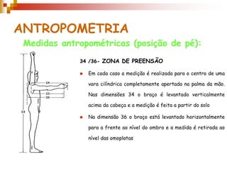 ANTROPOMETRIA
Medidas antropométricas (posição de pé):
34 /36- ZONA DE PREENSÃO
 Em cada caso a medição é realizada para o centro de uma
vara cilíndrica completamente apertada na palma da mão.
Nas dimensões 34 o braço é levantado verticalmente
acima da cabeça e a medição é feita a partir do solo
 Na dimensão 36 o braço está levantado horizontalmente
para a frente ao nível do ombro e a medida é retirada ao
nível das omoplatas
 