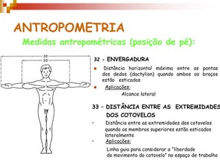 ANTROPOMETRIA
32 - ENVERGADURA
 Distância horizontal máxima entre as pontas
dos dedos (dactylion) quando ambos os braços
estão esticados
 Aplicações:
Medidas antropométricas (posição de pé):
33 – DISTÂNCIA ENTRE AS EXTREMIDADES
DOS COTOVELOS
• Distância entre as extremidades dos cotovelos
quando os membros superiores estão esticados
lateralmente
• Aplicações:
Alcance lateral
Linha guia para considerar a “liberdade
do movimento do cotovelo” no espaço de trabalho
 