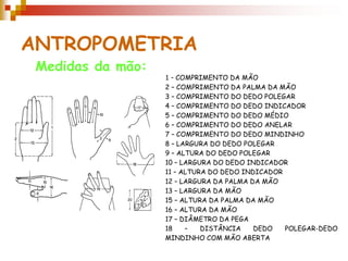 ANTROPOMETRIA
Medidas da mão:
1 - COMPRIMENTO DA MÃO
2 – COMPRIMENTO DA PALMA DA MÃO
3 – COMPRIMENTO DO DEDO POLEGAR
4 – COMPRIMENTO DO DEDO INDICADOR
5 – COMPRIMENTO DO DEDO MÉDIO
6 – COMPRIMENTO DO DEDO ANELAR
7 – COMPRIMENTO DO DEDO MINDINHO
8 – LARGURA DO DEDO POLEGAR
9 – ALTURA DO DEDO POLEGAR
10 – LARGURA DO DEDO INDICADOR
11 – ALTURA DO DEDO INDICADOR
12 – LARGURA DA PALMA DA MÃO
13 – LARGURA DA MÃO
15 – ALTURA DA PALMA DA MÃO
16 – ALTURA DA MÃO
17 – DIÂMETRO DA PEGA
18 – DISTÂNCIA DEDO POLEGAR-DEDO
MINDINHO COM MÃO ABERTA
 
