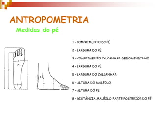ANTROPOMETRIA
Medidas do pé
1 - COMPRIMENTO DO PÉ
2 - LARGURA DO PÉ
3 – COMPRIMENTO CALCANHAR-DEDO MINDINHO
4 – LARGURA DO PÉ
5 – LARGURA DO CALCANHAR
6 – ALTURA DO MALEOLO
7 – ALTURA DO PÉ
8 – DISTÂNCIA MALÉOLO-PARTE POSTERIOR DO PÉ
 