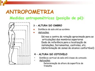 ANTROPOMETRIA
Medidas antropométricas (posição de pé):
3 - ALTURA DO OMBRO
 Distância do solo até ao acrómio
 Aplicações:
4 – ALTURA DO COTOVELO
• Distância vertical do solo até à base do cotovelo
• Aplicações:
Dá-nos o centro de rotação aproximado para as
articulações dos membros superiores
Dado de referência para a localização de
instalações, ferramentas, controles, etc.
(determinação de zonas de alcance confortável)
Determinação da altura da superfície de
trabalho
 