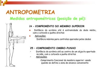 ANTROPOMETRIA
 Medidas antropométricas (posição de pé):
           24 - COMPRIMENTO DO MEMBRO SUPERIOR
               Distância do acrómio até à extremidade do dedo médio,
               com o cotovelo e punho direitos
                Aplicações:
                  Distância máxima para controles operados pelos dedos



           25 – COMPRIMENTO OMBRO-PUNHO
           •     Distância do acrómio até ao centro de um objecto apertado
                 na mão, com o cotovelo e punho direitos
           •     Aplicações:
                     Comprimento funcional do membro superior: usado
                     quando se define a zona de alcance conveniente
 