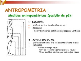 ANTROPOMETRIA
 Medidas antropométricas (posição de pé):
             1 - ESTATURA
                Distância vertical do solo até ao vertex
                Aplicações:
                   Contribuir para a definição dos espaços verticais



             2 – ALTURA DOS OLHOS
             •   Distância vertical do solo até ao canto externo do olho
             •   Aplicações:
                        Centro do campo visual
                        Ponto de referência para exposições visuais
                        Altura aceitável máxima para obstruções visuais
 