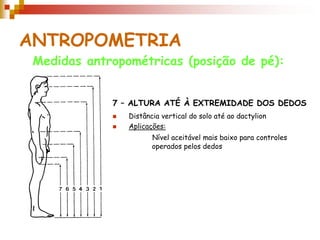 ANTROPOMETRIA
 Medidas antropométricas (posição de pé):


             7 – ALTURA ATÉ À EXTREMIDADE DOS DEDOS
                Distância vertical do solo até ao dactylion
                Aplicações:
                        Nível aceitável mais baixo para controles
                        operados pelos dedos
 