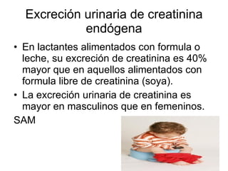 Excreción urinaria de creatinina endógena En lactantes alimentados con formula o leche, su excreción de creatinina es 40% mayor que en aquellos alimentados con formula libre de creatinina (soya). La excreción urinaria de creatinina es mayor en masculinos que en femeninos. SAM 