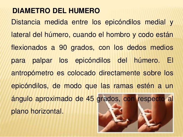 Antropometria 2014