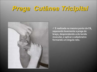 Prega Cutânea Tricipital
 É realizada no mesmo ponto da CB,
separando levemente a prega do
braço, desprendendo-a do tecido
muscular, e aplicar o adipômetro
formando um ângulo reto.
 